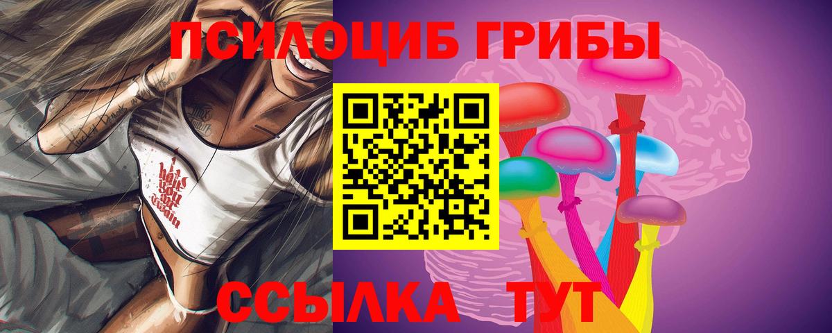 Галлюциногенные грибы Psilocybe  Вход с VPN  Ейск 