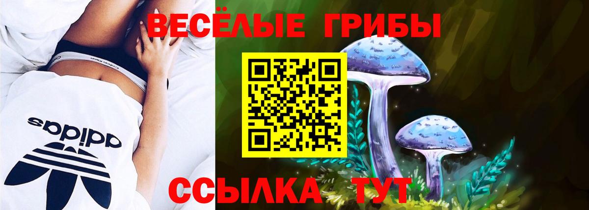 Галлюциногенные грибы прущие грибы Ейск